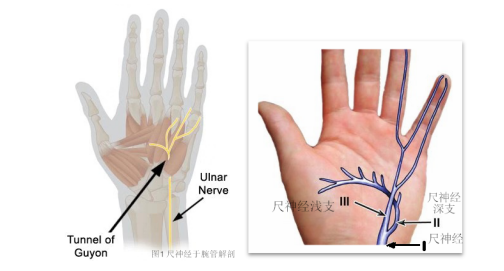 <a href='http://www.tanmianxu.com/' target='_blank'><u>徐州仁慈醫(yī)院</u></a>